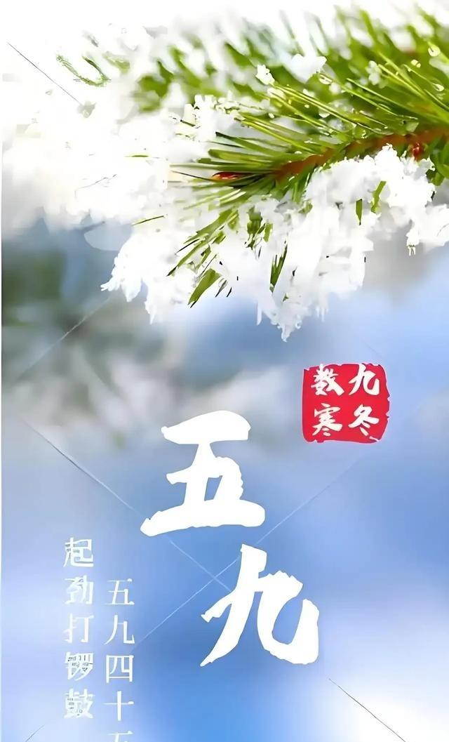 “四九”马上结束，五九还会冷多久？啥时候能回暖？答案来了