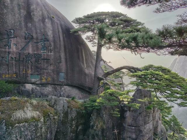 漫步黄山松掩山丛树杪，云隐仙踪徒步蹬道千阶