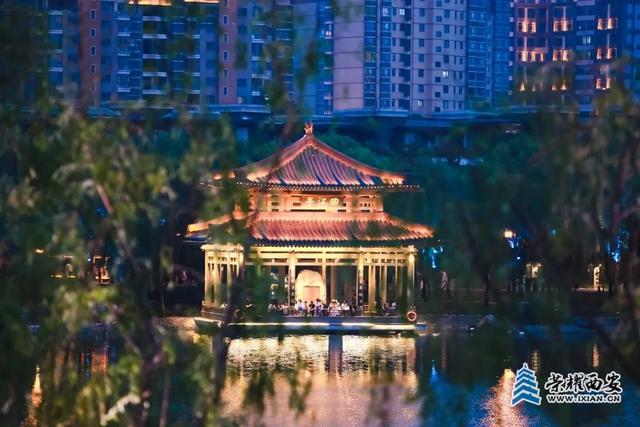 夜游指南｜在曲江池，把日子过成散文诗