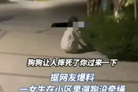 杭州未牵绳小狗追赶女童被女童家属摔死后续：狗主人报警 社区调解图片