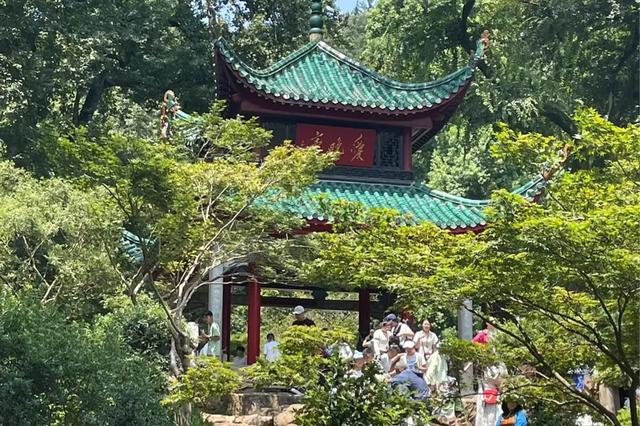 散文随笔||再见，长沙