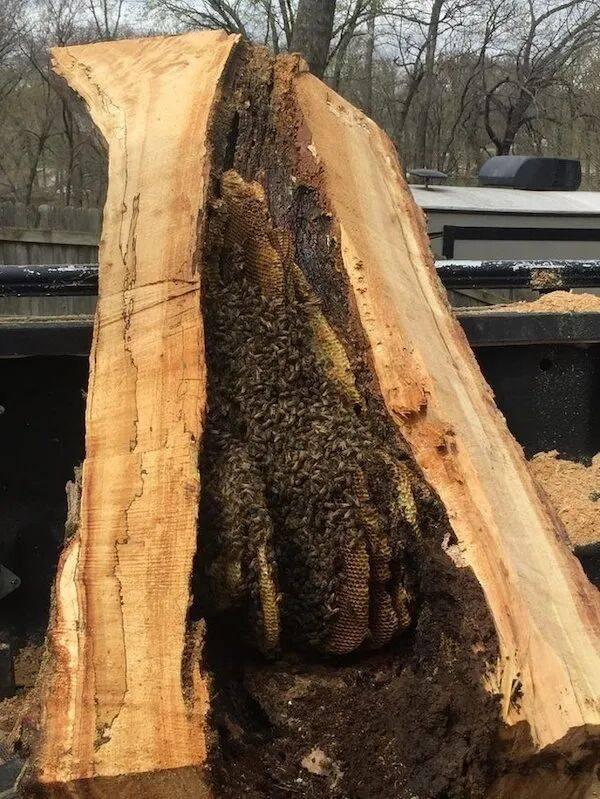 惊呆了！这50张照片让你看到另一面