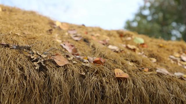 十一月,在平桥遇见一场慢时光