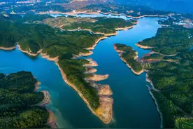 旅游人次超6300万！温州探索森林康旅新模式！图片