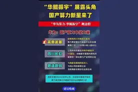 华为算力热门概念：华鲲振宇龙头全面梳理图片