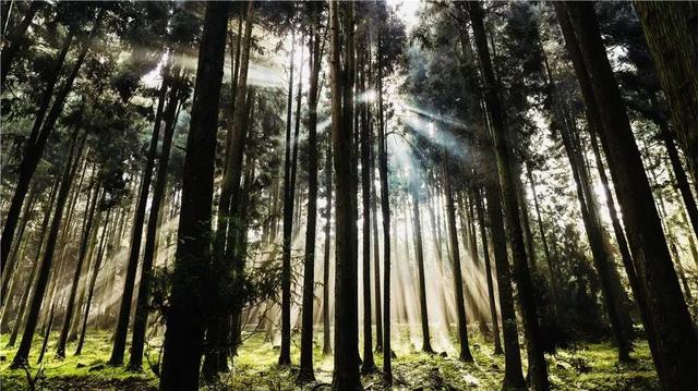 这个秋天来坪坝营，把日子过成童话！