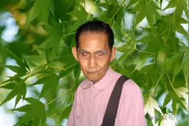 广东省象棋大师名单图片