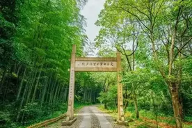 端午假期，浙江这些神仙景点全！免！费！图片