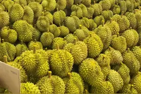 榴莲上市无人问津，为何大家不爱吃了？果农：4大扎心原因很现实图片