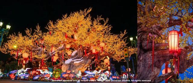 一路生花！世界级旅游目的地“崛起记”