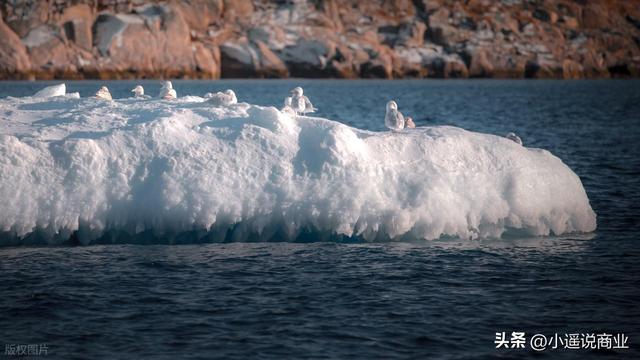 一口气了解格陵兰岛：为什么懂王势在必得？