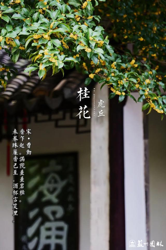 桂香满城！苏州桂花赏花地图来了！