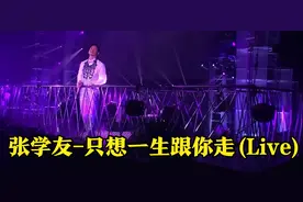 【怀旧经典】张学友-只想一生跟你走(Live)(无损音质) 字幕 Hi-Res图片