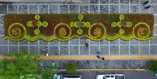 全球独一无二！西安凭什么被称为城中花都