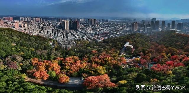 “五一”来绵阳三台！赏花海、品美食、游动物园、看水上表演……