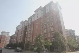 曾经手机中的战斗机，如今变身非洲之王！却和奉化没啥关系！图片