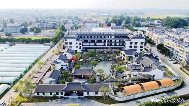 新场景 新玩法 东坡这些地方等你来“拔草”！