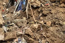 厦门翔安机场工地，突现两条巨蟒！一条重达百斤图片