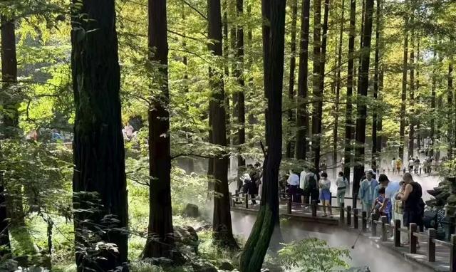 斥资3.3亿上演变形计,成都植物园与西双版纳植物园竞技国家级
