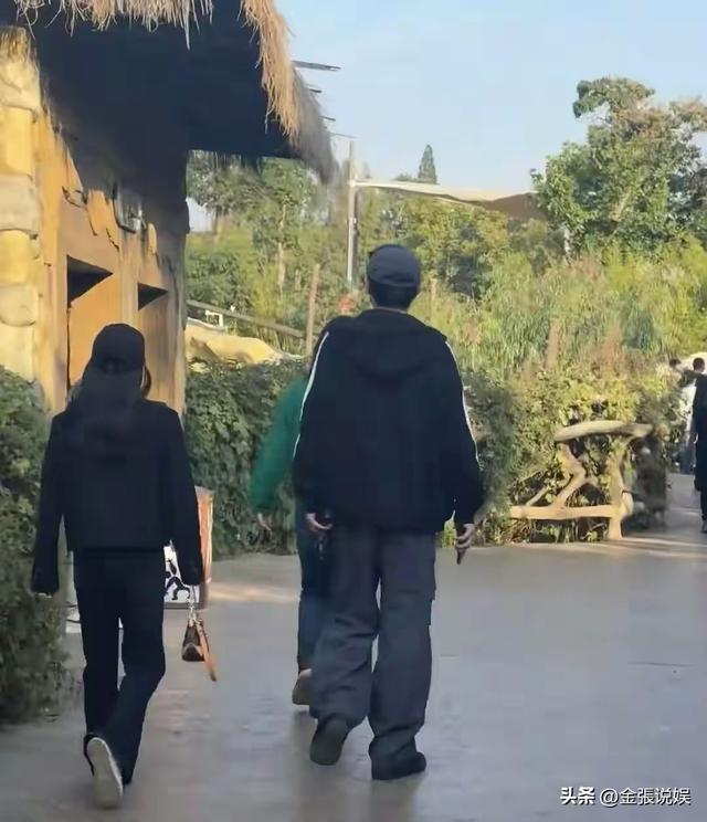 炸裂！陈若琳被曝和杨旭文已订婚！多个同框照被扒，杨旭文秒回应