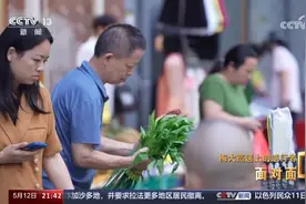 下跪的勇气图片