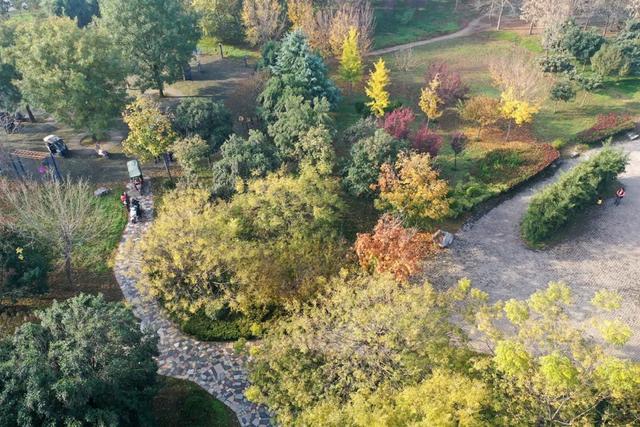 无需滤镜的温县，是这样的→