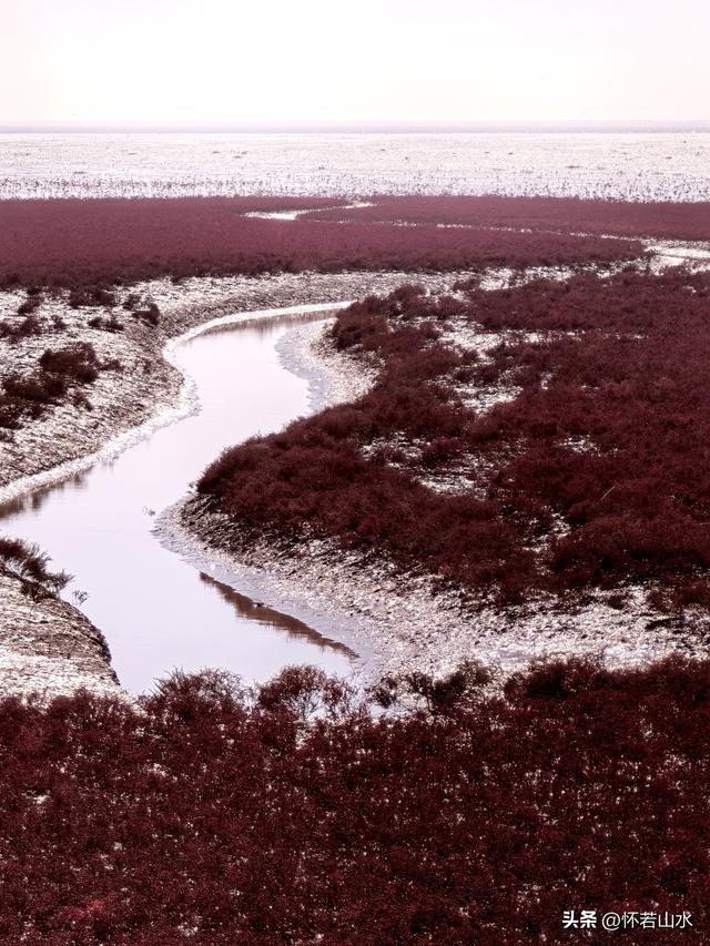 2025辽宁赏秋之旅日记(5)——从本溪前往盘锦 游览红海滩景观