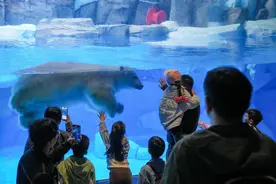 五一游郑州！多家景区准备惊喜与优惠图片