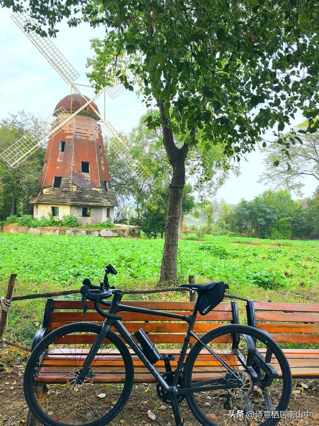 东湖绿道东西大环线五十公里畅快骑行！