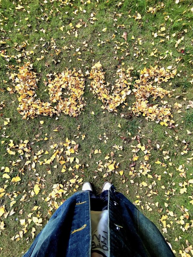 抬头！在寒冷的冬天再欣赏欣赏科院的秋吧