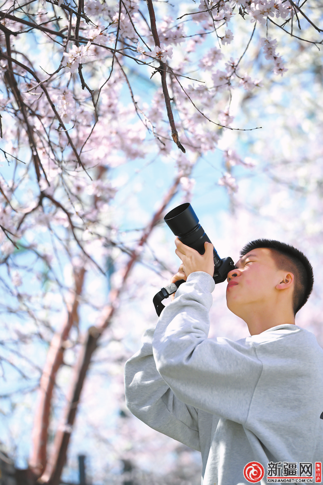 四月的乌鲁木齐 春风送花香