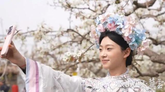 长城观察丨河北：融合多元业态 清明“赏花经济”热力全开