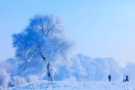 情商极高，但注定孤独的星座，太理智，太绝情，走心实在太难图片