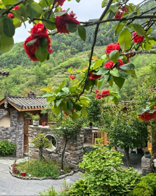 这里是康县山根村！