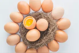 原来鸡蛋你一直没有放对，跟我学起来，能吃到母鸡刚下的新鲜鸡蛋图片