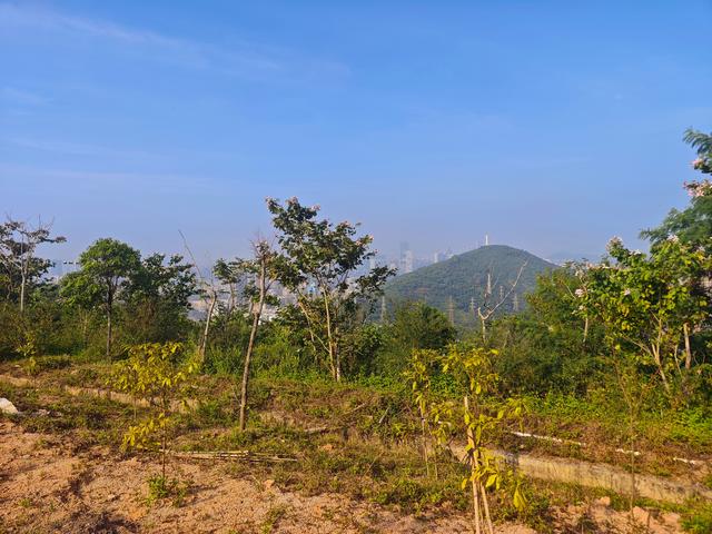 塘朗山郊野公园火车道口与绿平二路段，爬坡酸爽，骑友的天堂