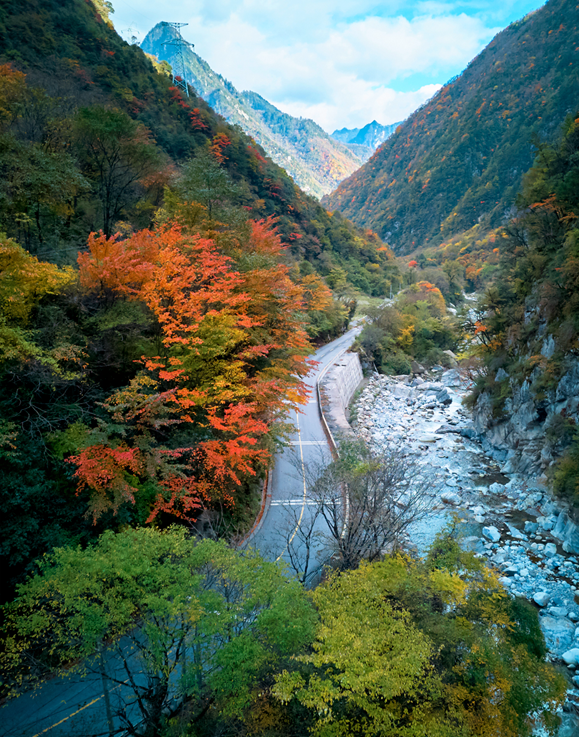 走不出这画了，我已被平武的彩林迷倒！