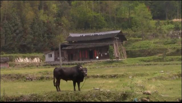 山居这些年，探访过无数苗族村寨，除了羡慕还是羡慕