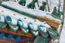 北京普降中到大雪！机场、高铁、高速、公共交通受影响，出行请注意→图片