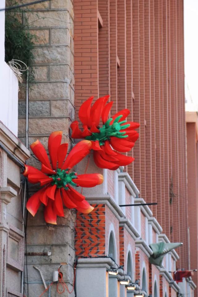 刺桐酝酿着「花事」，这场「盛事」也即将在泉州开启！