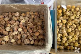 端午临近，粽叶、咸蛋黄等成苏州菜场“流量担当”图片