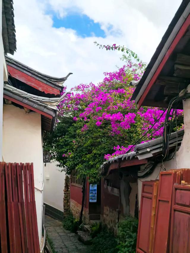 云南:花溪水韵醉丽江!