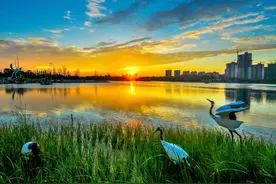 中国县城概况:射阳——有爱射阳，沐光向海！图片