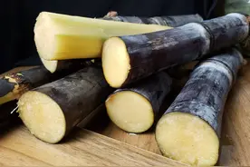 世界30%的白糖是来自甜菜，那么你知道，他们都是如何加工的吗？图片