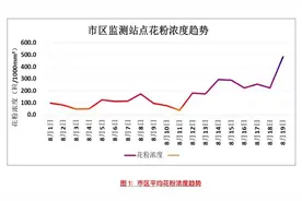 近期花粉浓度极高 遇多雷雨天气显出极端特征 近日患者就诊量达高峰图片