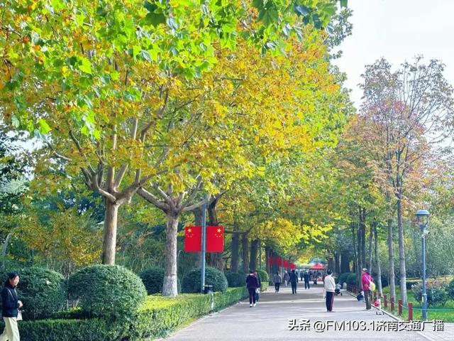 公园景区秋色图鉴，这几处必打卡