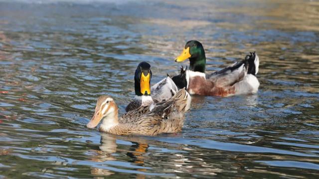 暖冬限定！赴一场“去班味”的阳光慢旅