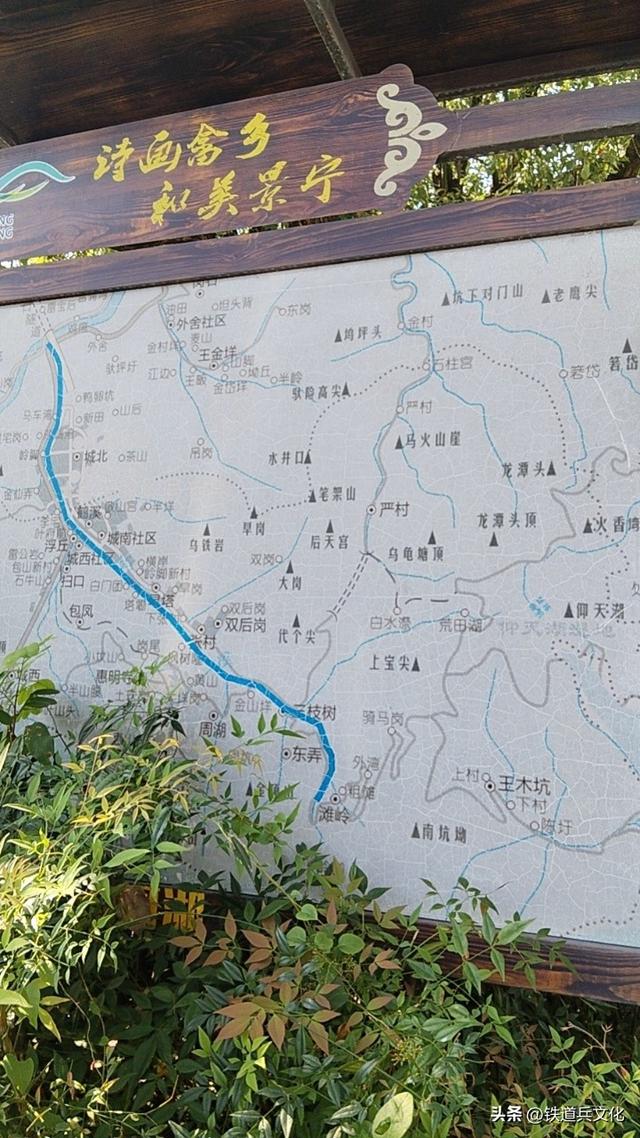山路弯弯 作者：陈阿玲