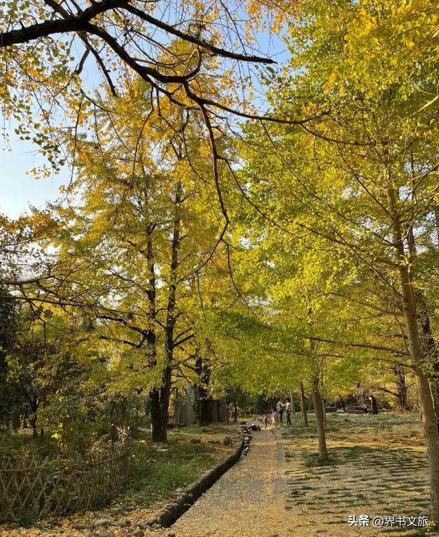 广西这个县，坐拥两广最高峰，自古以来就是中原通往两广的咽喉