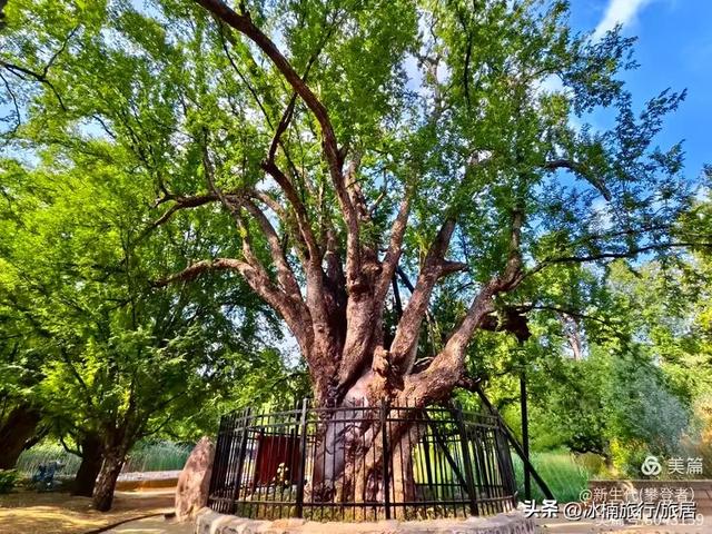 速看！云南元谋四大旅游核心片区各有玩法，别再瞎逛！